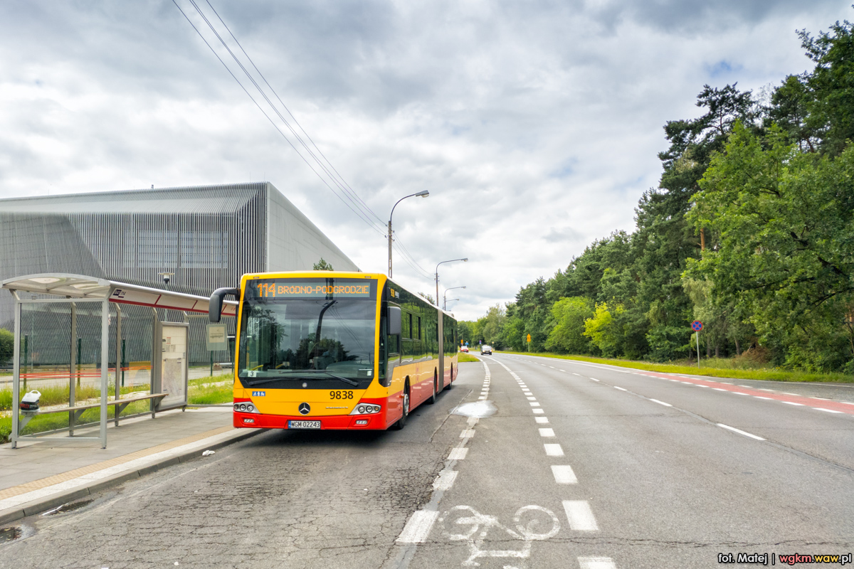 9838
Słowa kluczowe: DziwadĹo