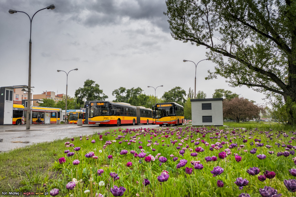 9212
Słowa kluczowe: Natura