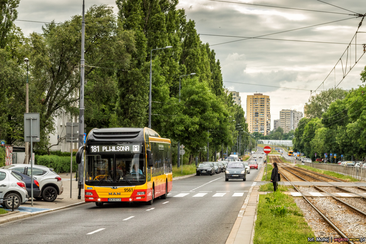 9561
Słowa kluczowe: DziwadĹo ZaArriva