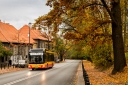 8V9A8890-Edit.jpg