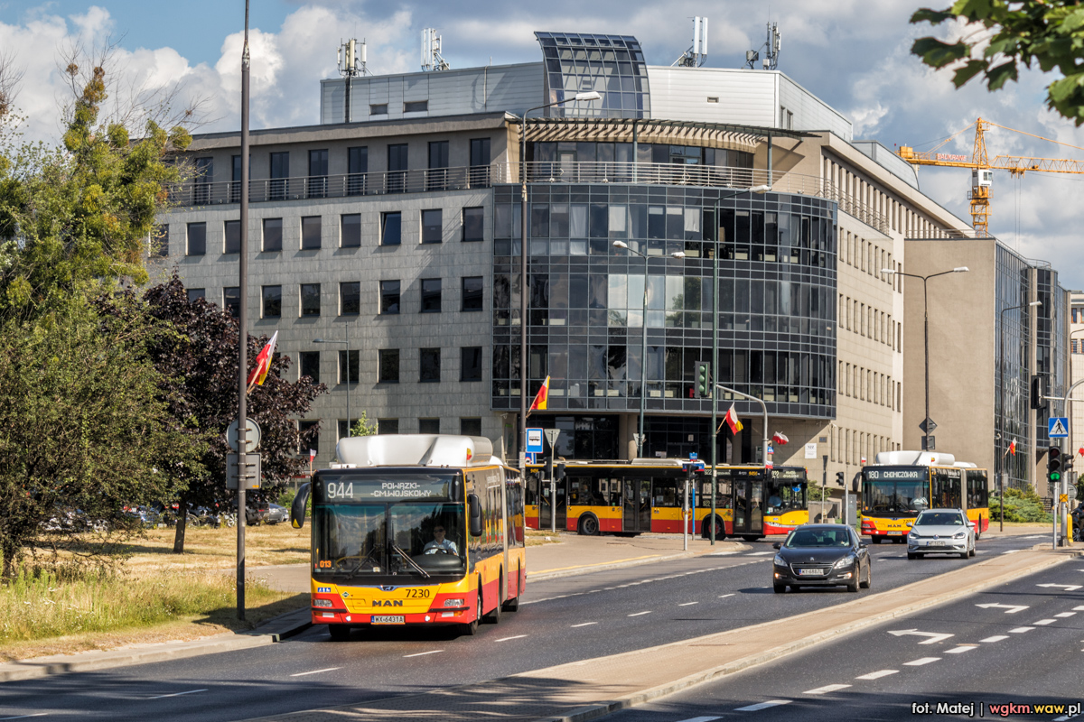 7230
Słowa kluczowe: PW2020