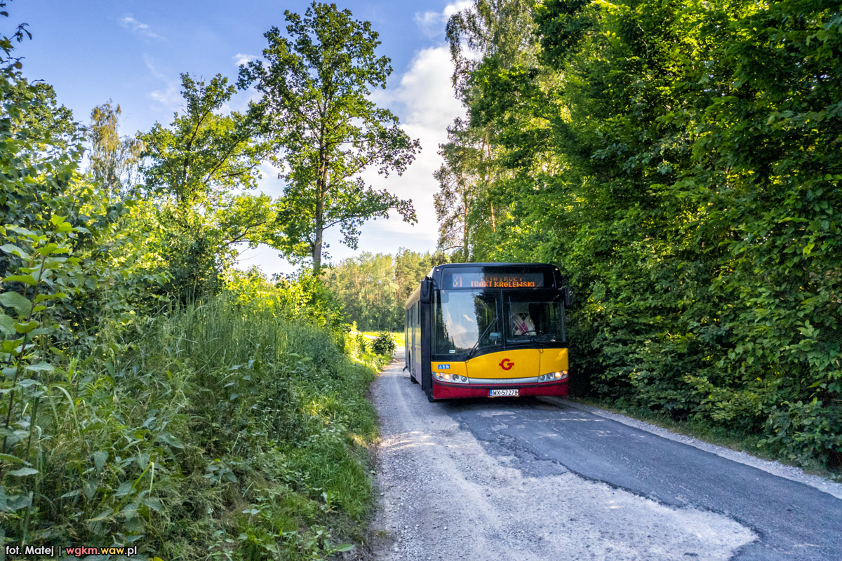 WX 57278
Po m.in. takich drogach prowadzi trasa linii 31 - tutaj na podjeĹşdzie kieszeniowym do Grzegorzewic. 
