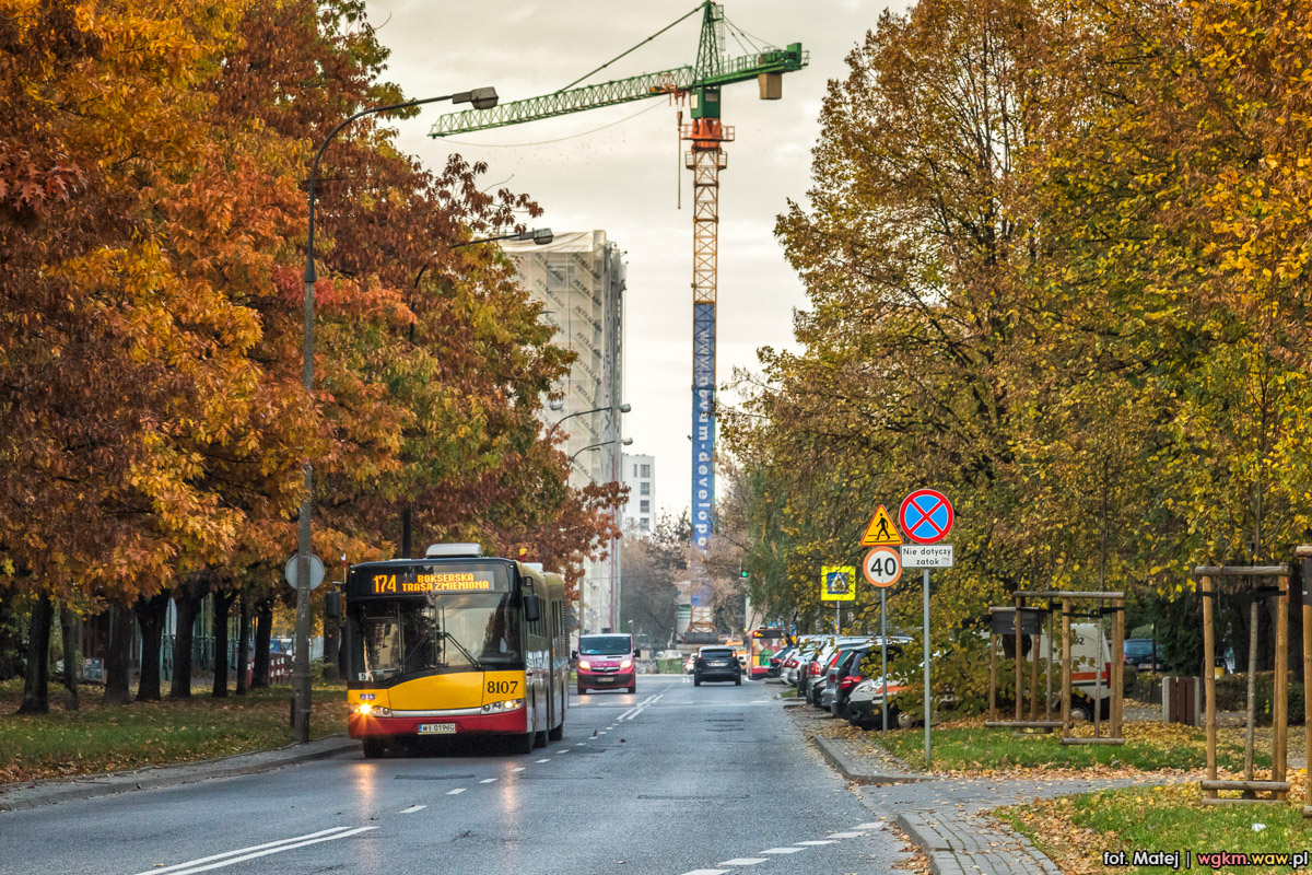 8107
Słowa kluczowe: jesieĹ