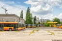 8V9A9565-Edit.jpg