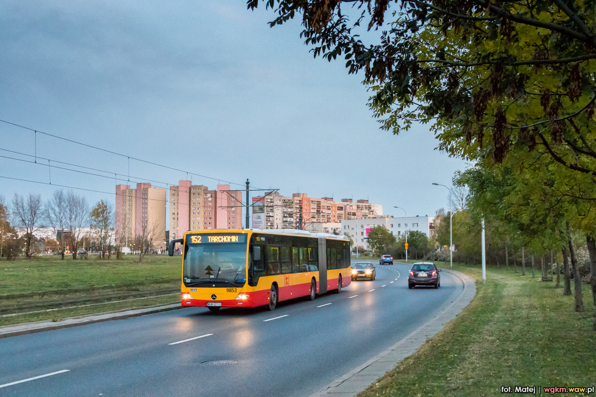 9853
Słowa kluczowe: DziwadĹo