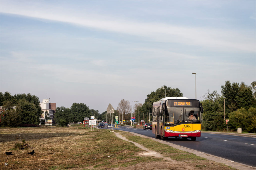 A065
Słowa kluczowe: MOBSU8,6