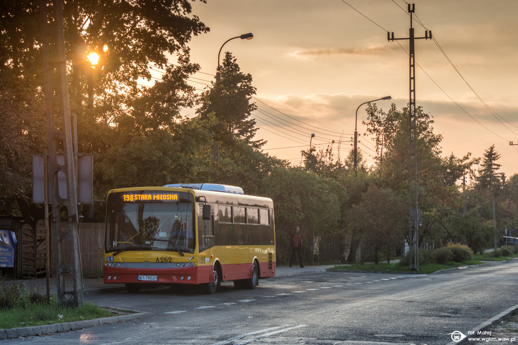 A262
