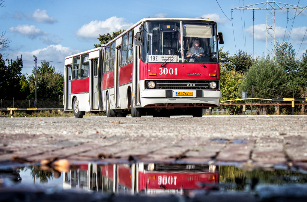 2600
Słowa kluczowe: IPU IK280