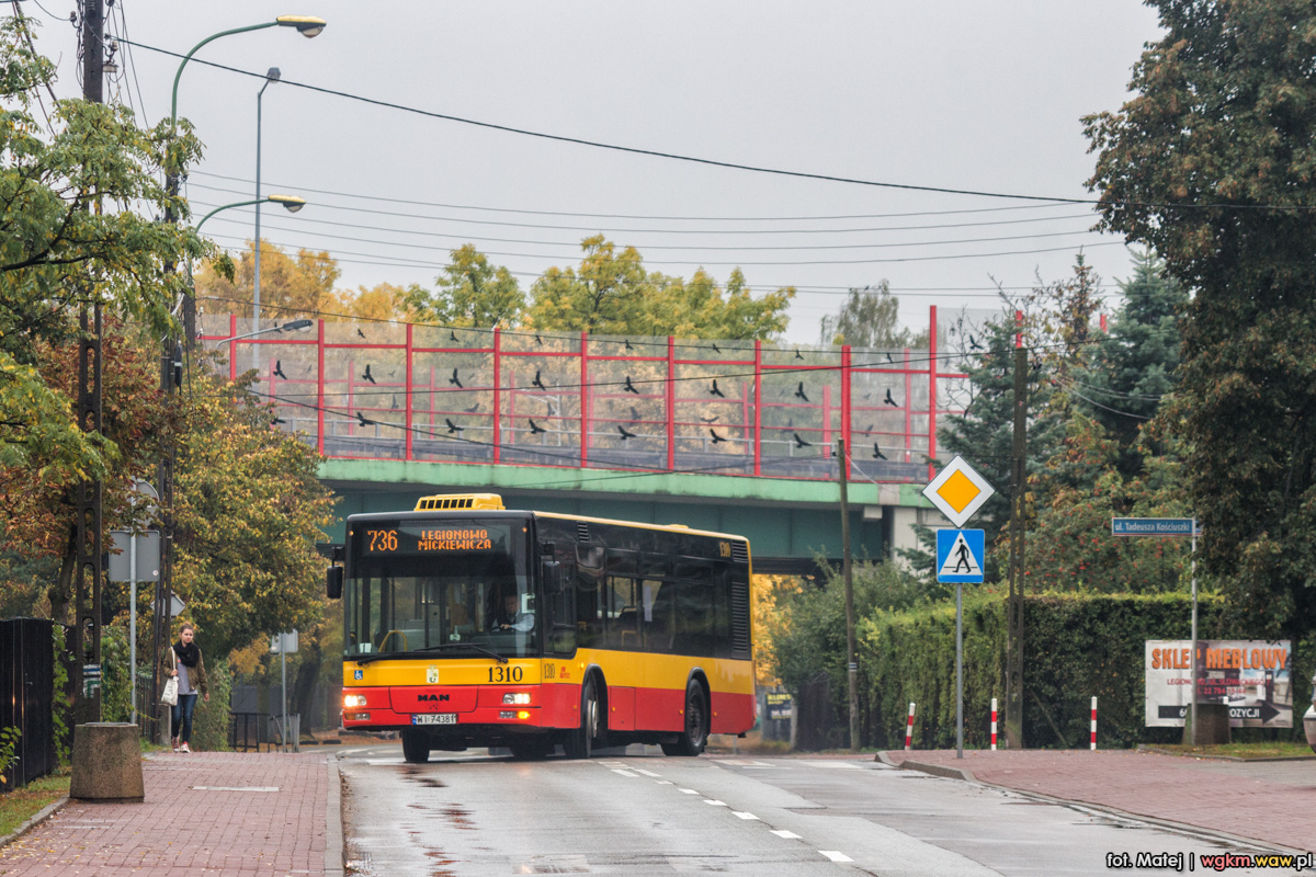 1310
Słowa kluczowe: NM223