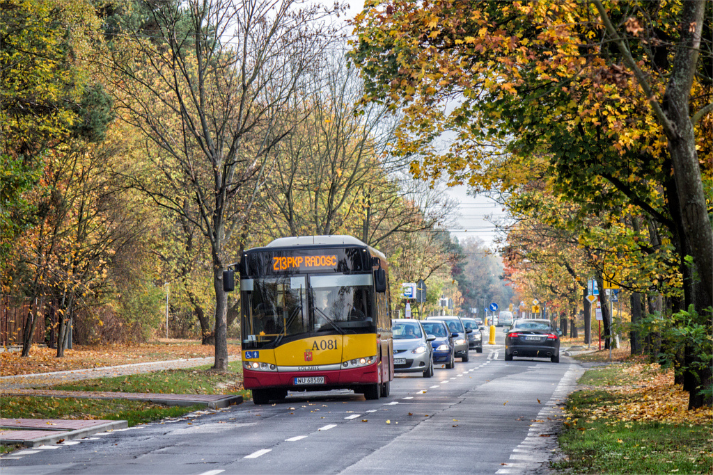 A081
Słowa kluczowe: DziwadĹo MOBSU8,6