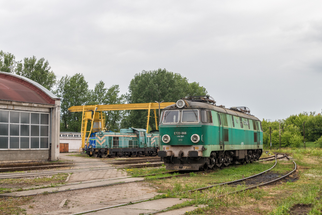 ET22-868
Pierwsze zdjÄcie byka na galerii.
Słowa kluczowe: KPĹ