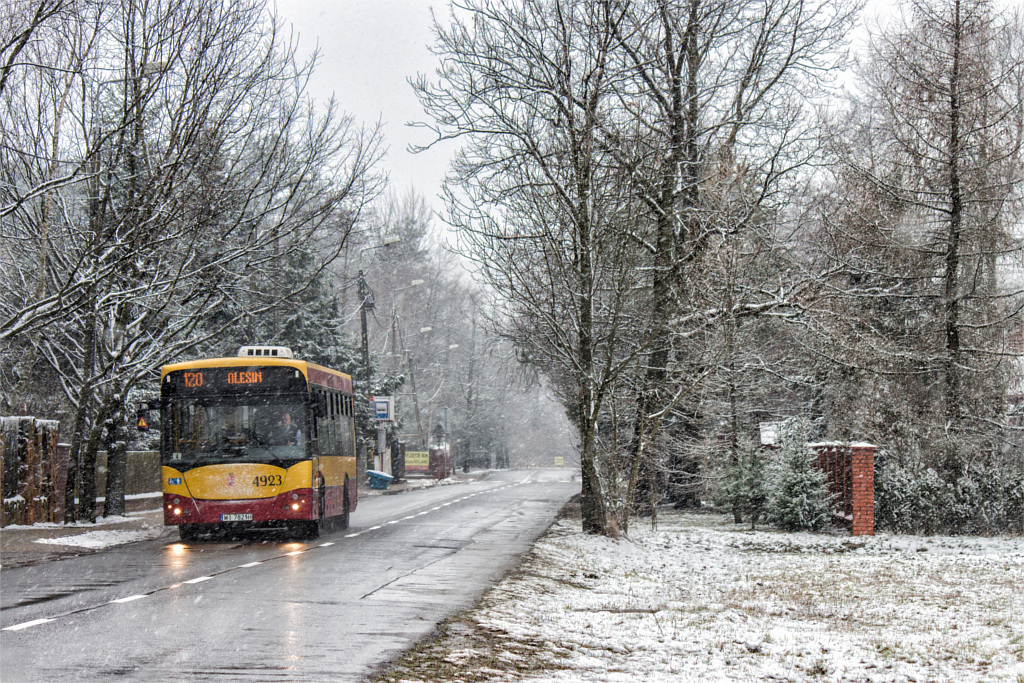 4923
Słowa kluczowe: M121I Zima