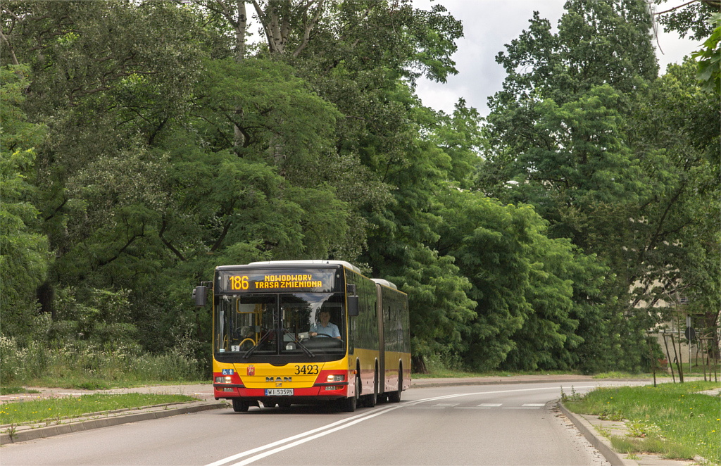 3423
Słowa kluczowe: Objazd