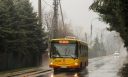 78.JPG