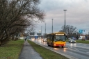 8V9A1354-Edit.jpg