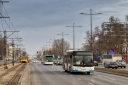 8V9A3870-Edit.jpg