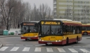 91.JPG