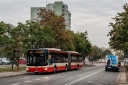 IMG_1247-Edit.JPG