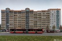 IMG_1535-Edit-Edit.jpg