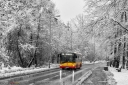 IMG_2471-Edit-Edit.jpg