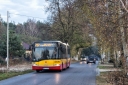 IMG_3488-Edit-Edit.jpg