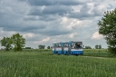 IMG_4528-Edit.jpg