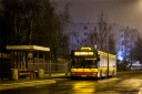 IMG_5564.jpg