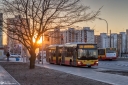 IMG_9890-Edit-Edit.jpg