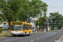 _MG_2509-Edit.jpg