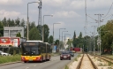 _MG_3813.jpg