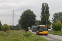 _MG_4778.jpg