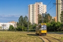 _MG_6735-Edit.jpg