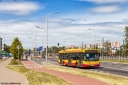 _MG_7302-Edit-2.jpg