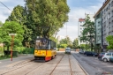 _MG_7317-Edit.jpg