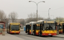 _MG_7696.JPG