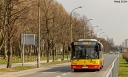 _MG_7926.JPG