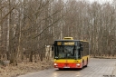 _MG_8123.JPG