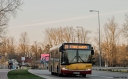 _MG_8627.JPG