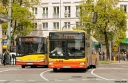 _MG_9522_1.JPG