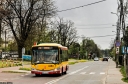 _MG_9532.JPG