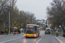 DSC_3747-4.jpg