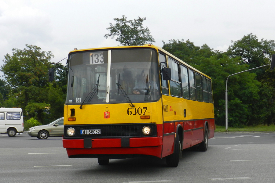 6307
Słowa kluczowe: IK260