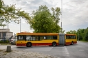 DSC_4165-2.jpg