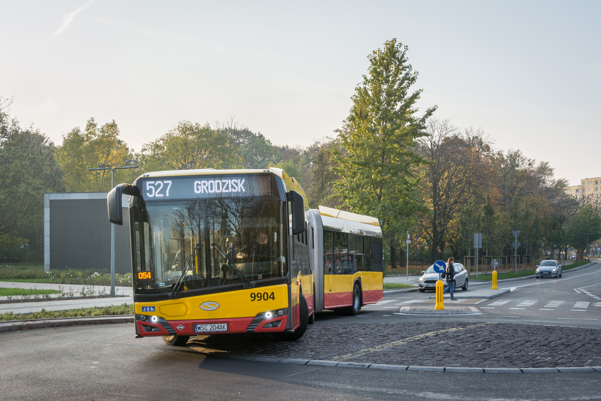 9904
Słowa kluczowe: Domas