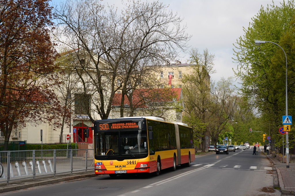 3441
Słowa kluczowe: Objazd
