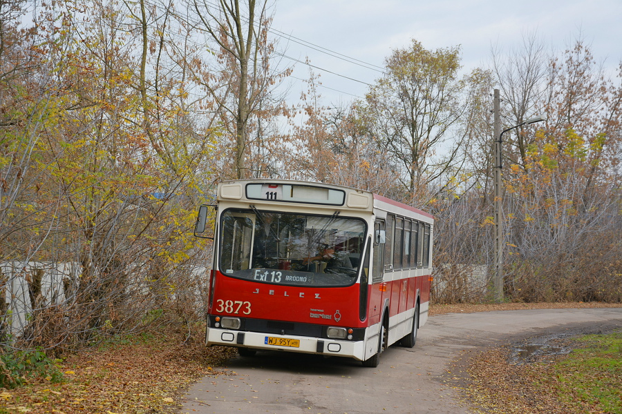 3873
PaĹşdziernikowa wycieczka Jelczem #3873 po BiaĹoĹÄce.
Słowa kluczowe: BerlietemPoBiaĹoĹÄce PR100