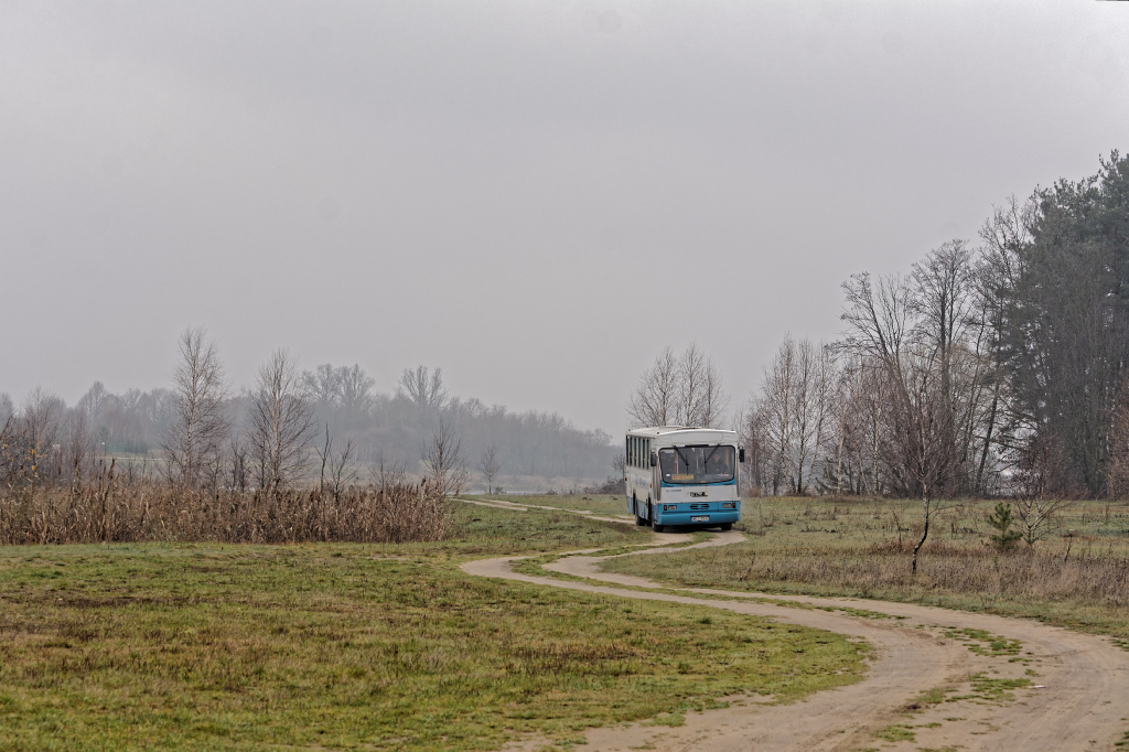70798
Słowa kluczowe: JL11PP