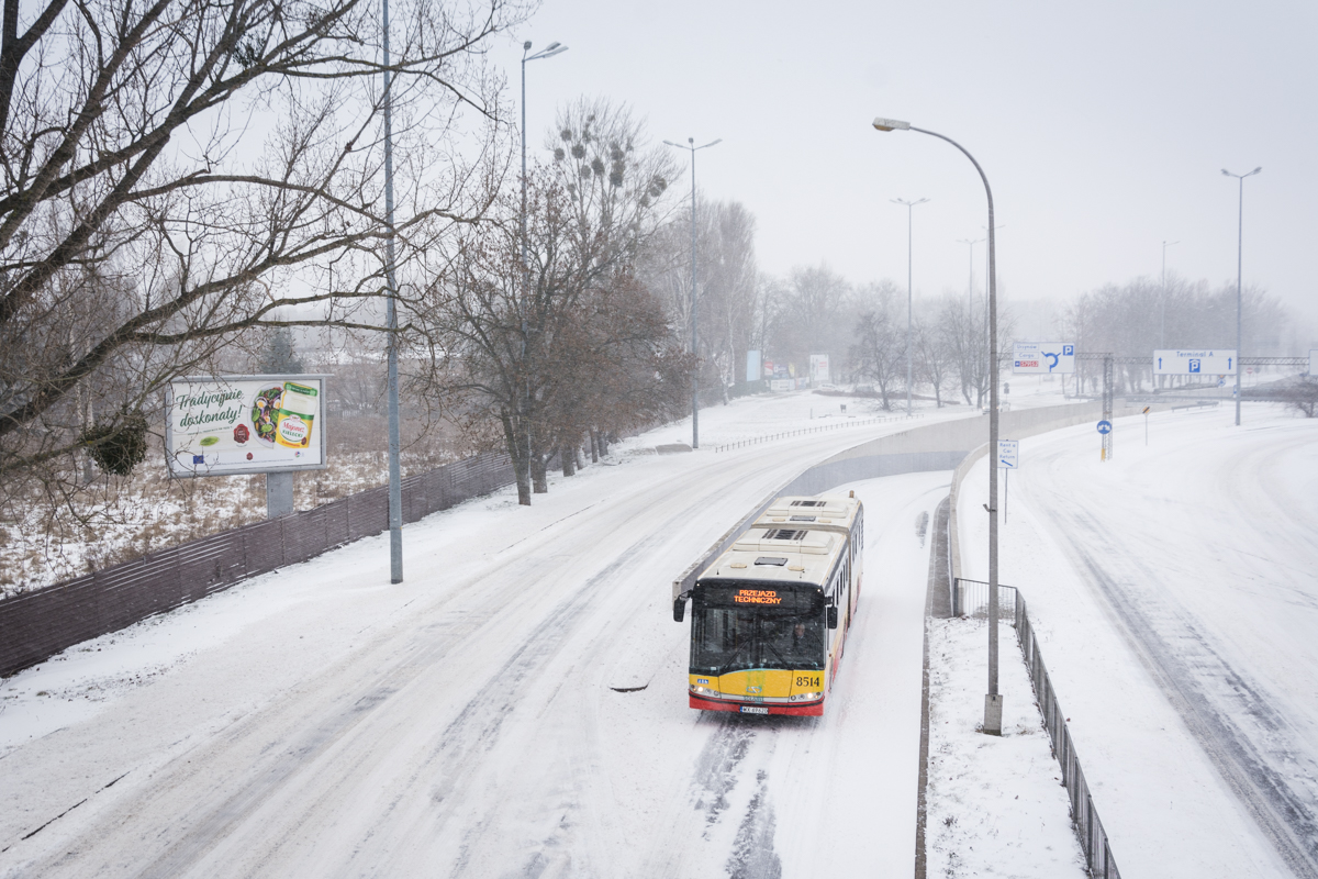 8514
Słowa kluczowe: Zima
