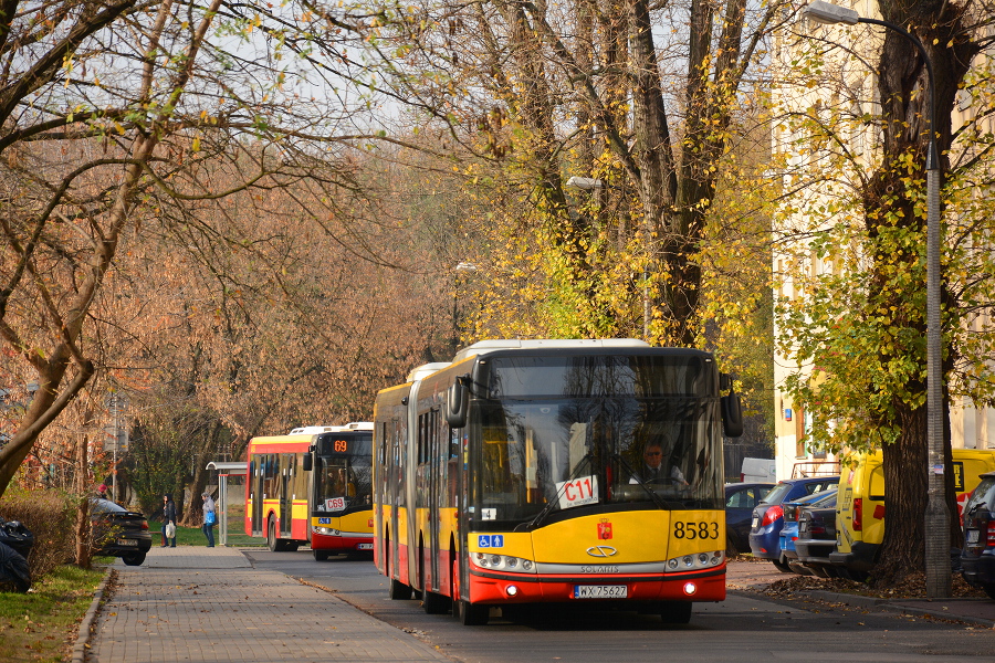 8583
Słowa kluczowe: WĹ2013