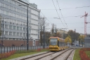 10_5B31045D_Prosta_5B2014-11-095D.JPG